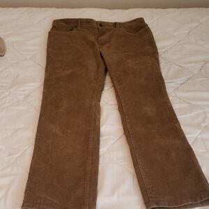 L.L. Bean Tan Standard Fit Pants